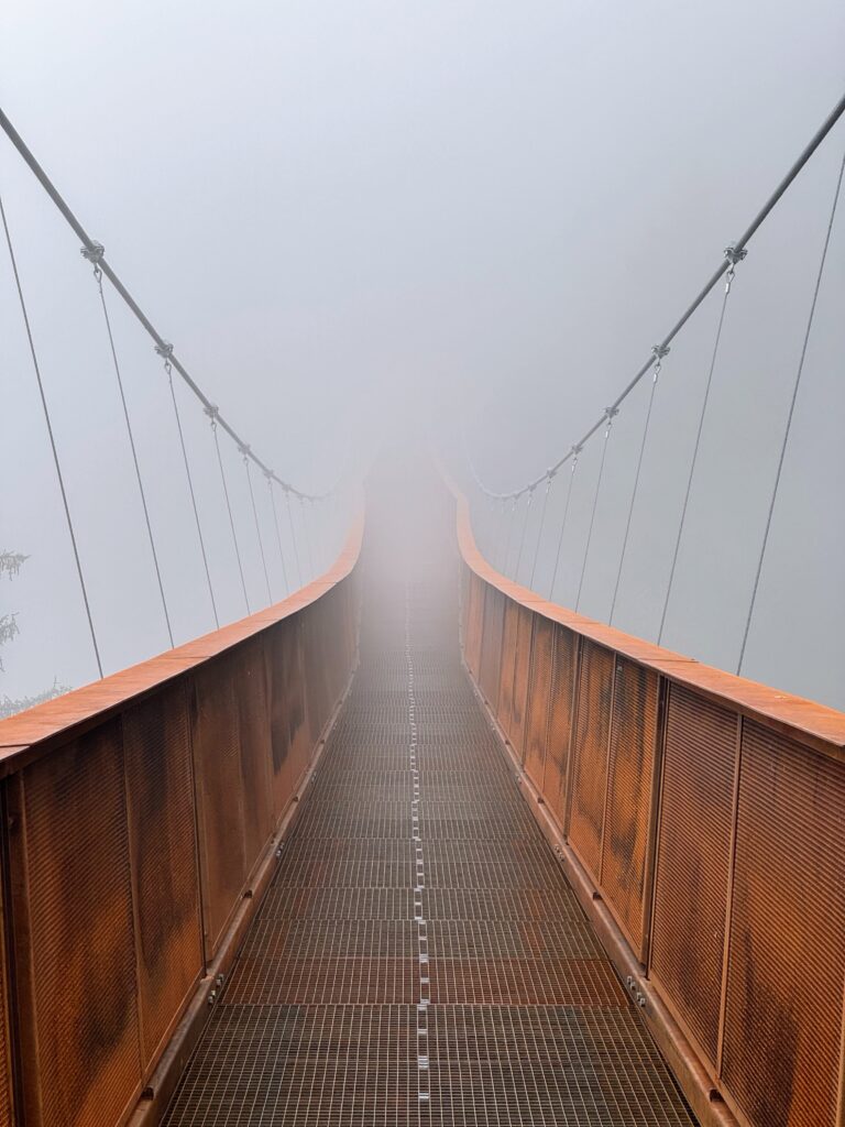 Der Weg in die Digitalisierung